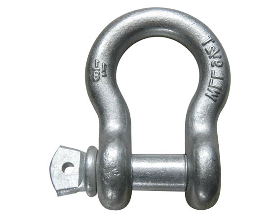 US Type G209 Shackle .png